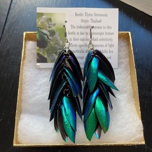 Beetle wing earrings